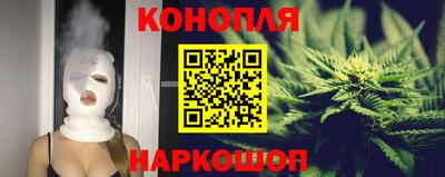 гидра Брянск