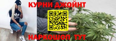 гидра Брянск