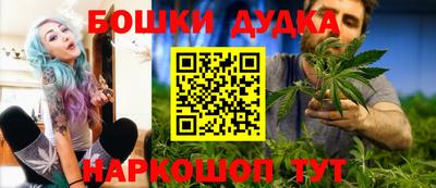 индика Братск