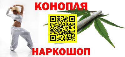 индика Братск