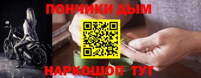 индика Братск
