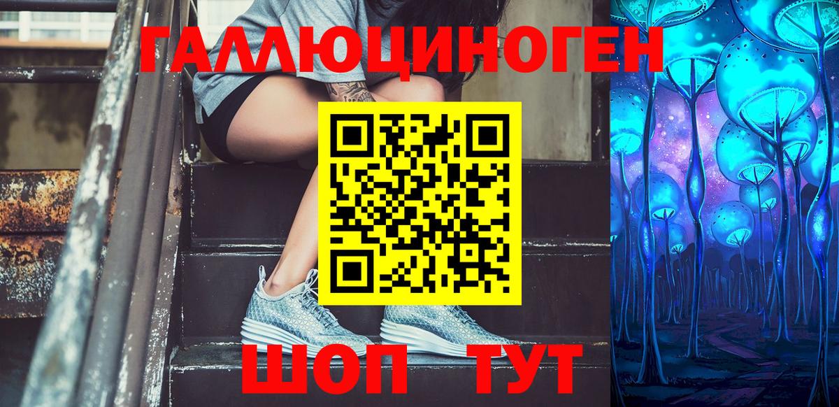 Псилоцибиновые грибы прущие грибы  Вход с VPN  Баксан 